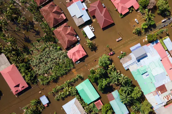 La fédération Adédom mobilisée suite au passage du cyclone Chido à Mayotte